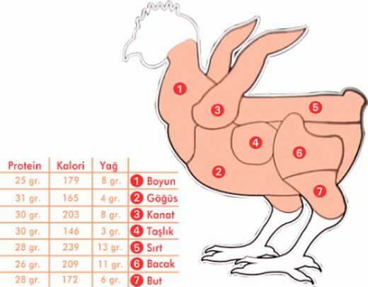 Tavuk Eti Besin Deeri